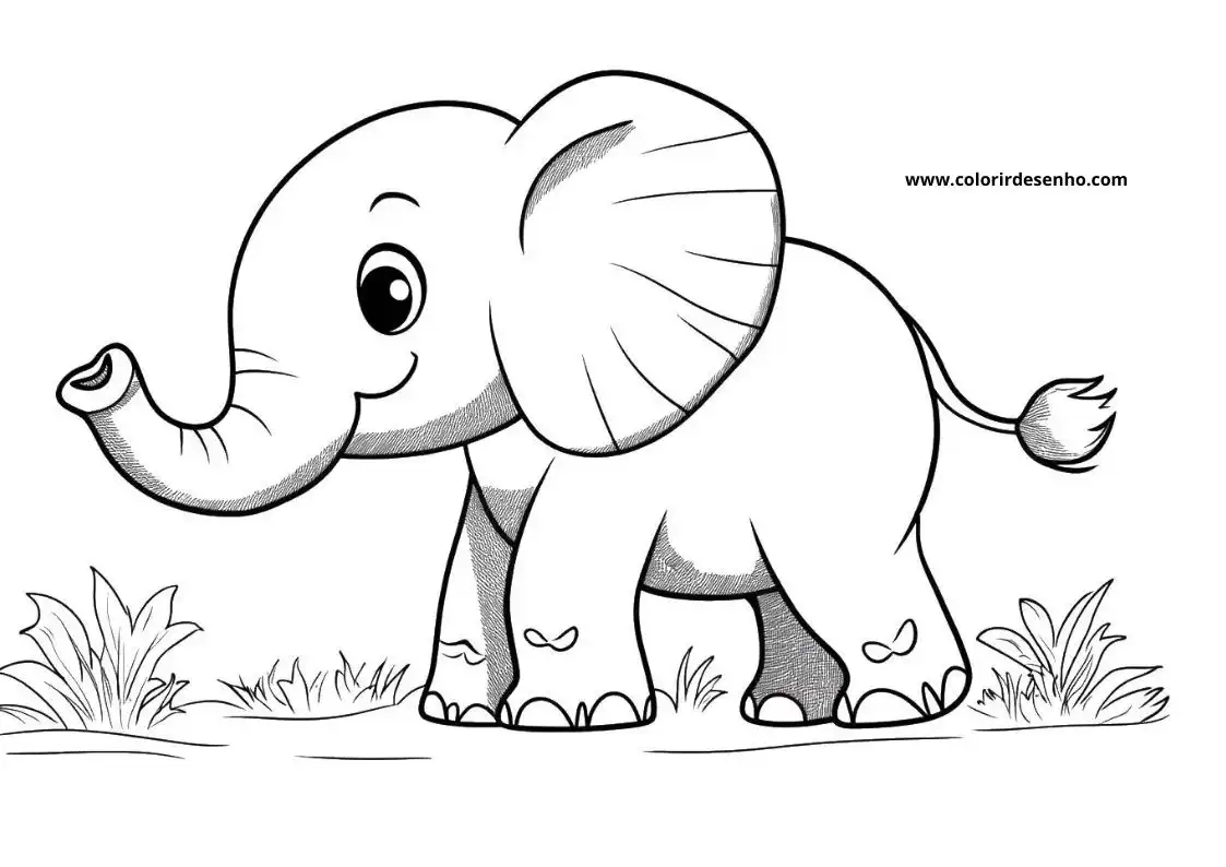 Elephant to Color 196