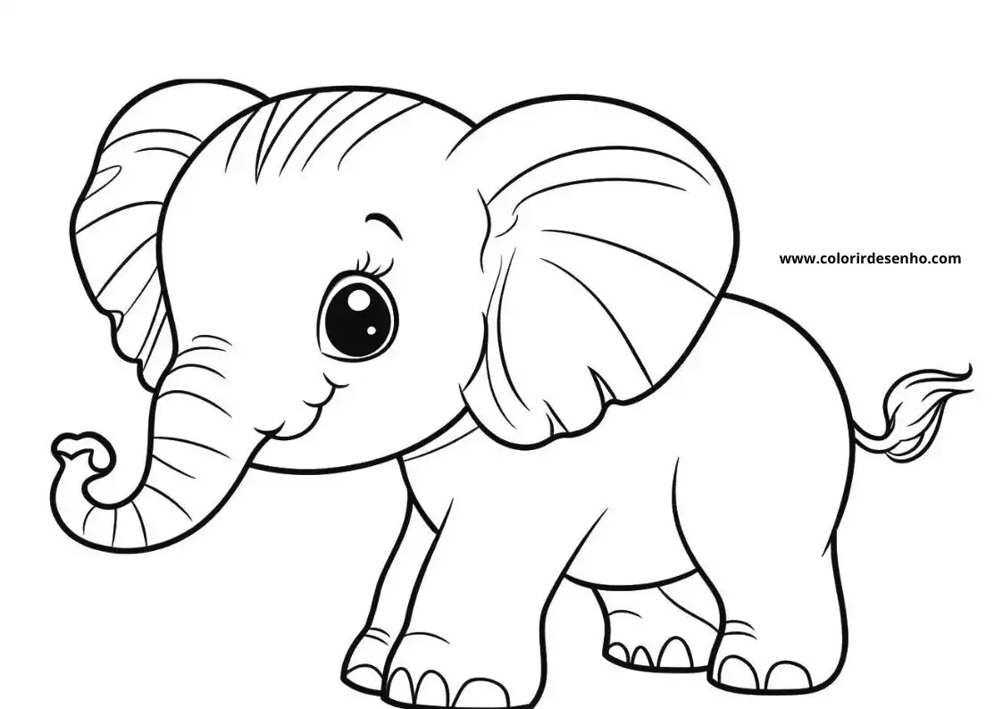 Elephant to Color 202