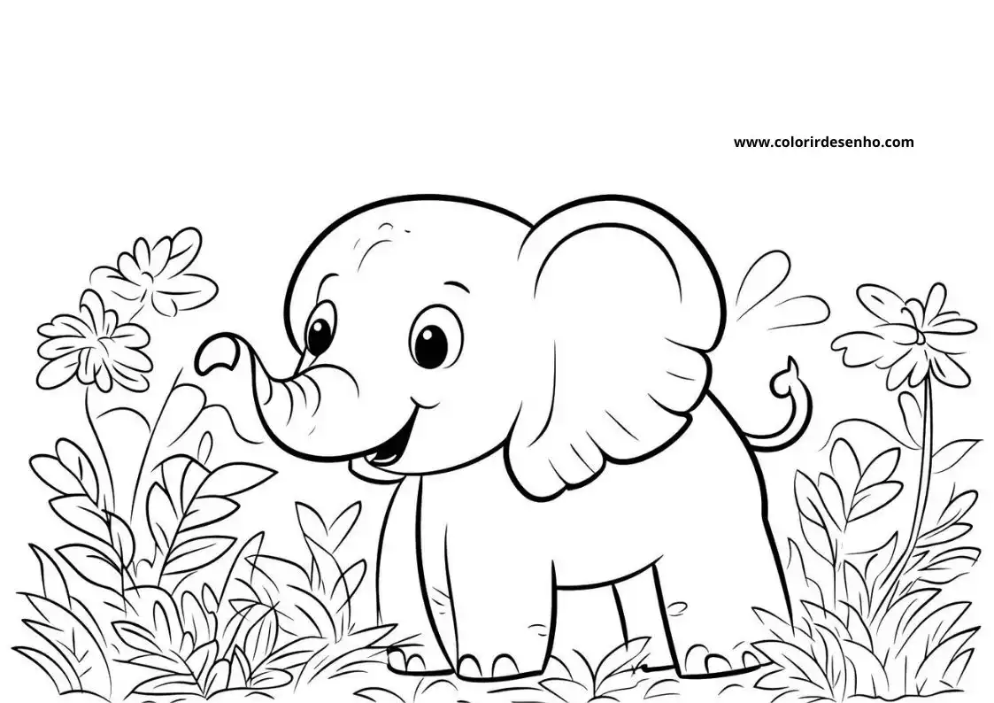 Elephant to Color 204