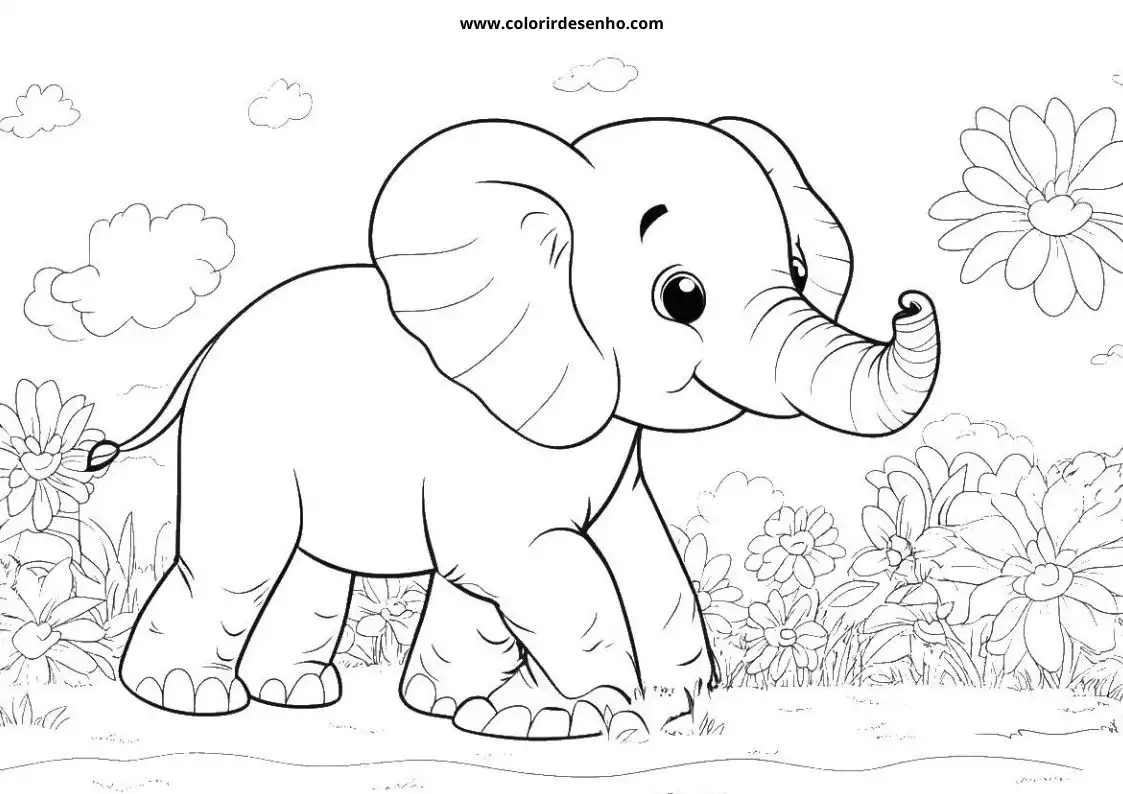 Elephant to Color 211