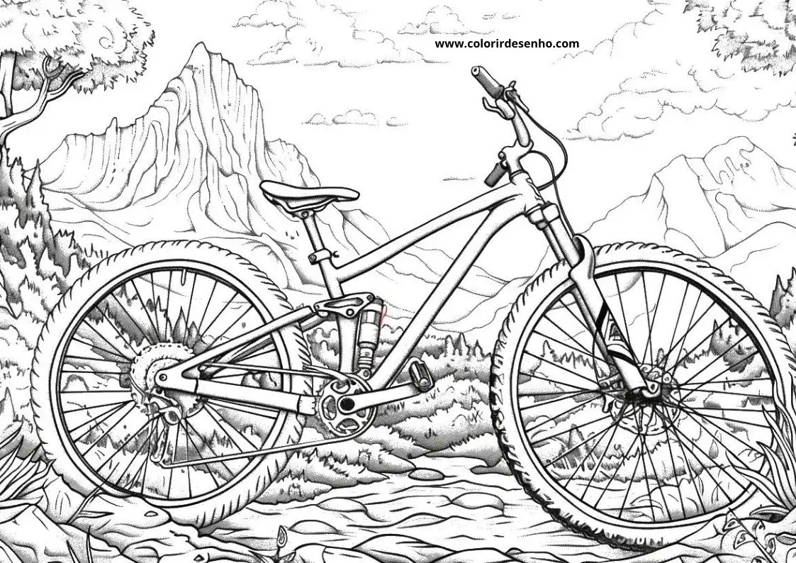 Bicycle to Color 73