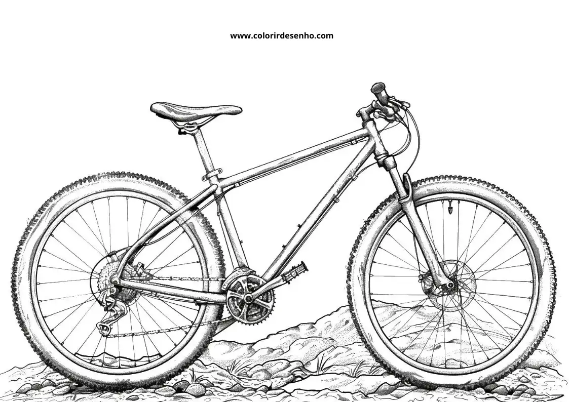 Bicycle to Color 74