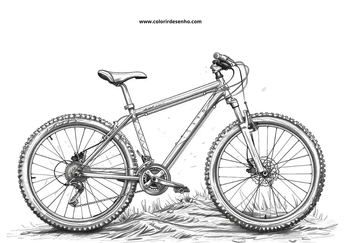 Bicycle to Color 75