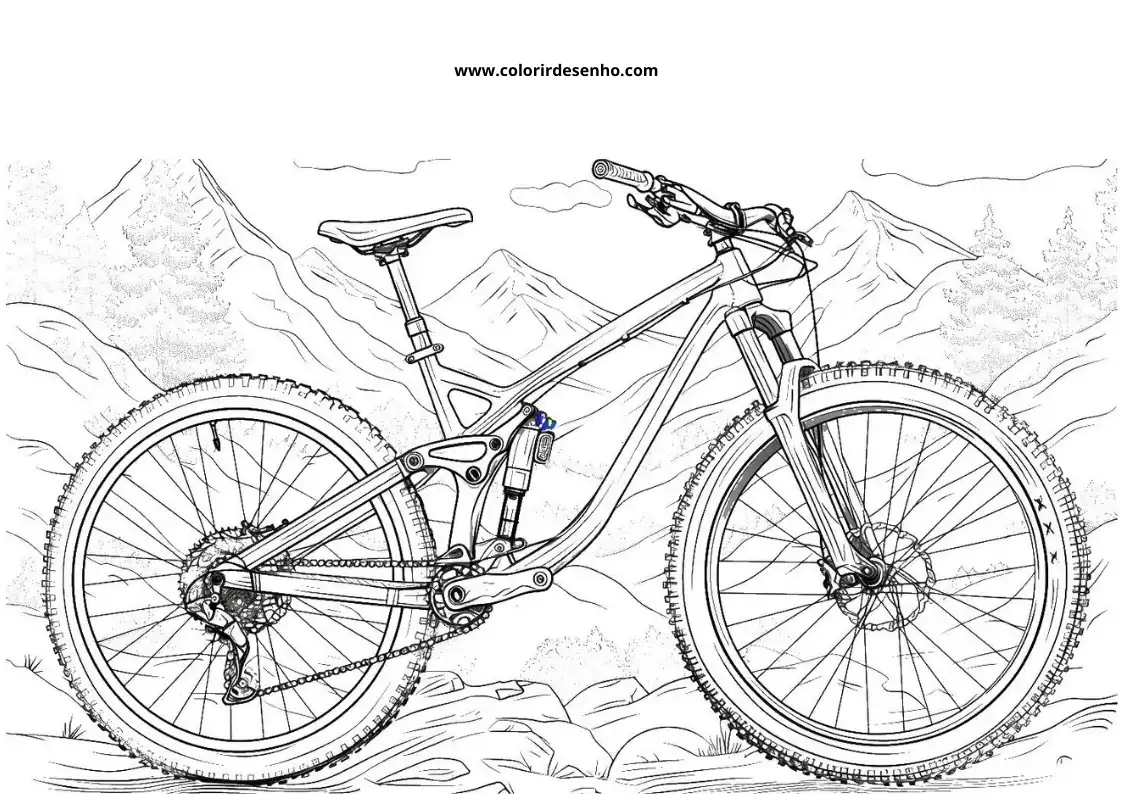 Bicycle to Color 81