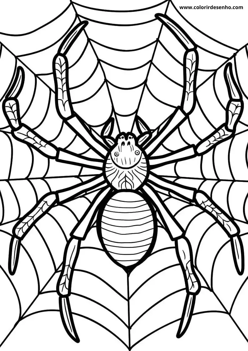 Spider Coloring Pages 13