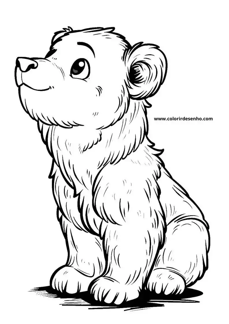 Bear Coloring Page Outline 7