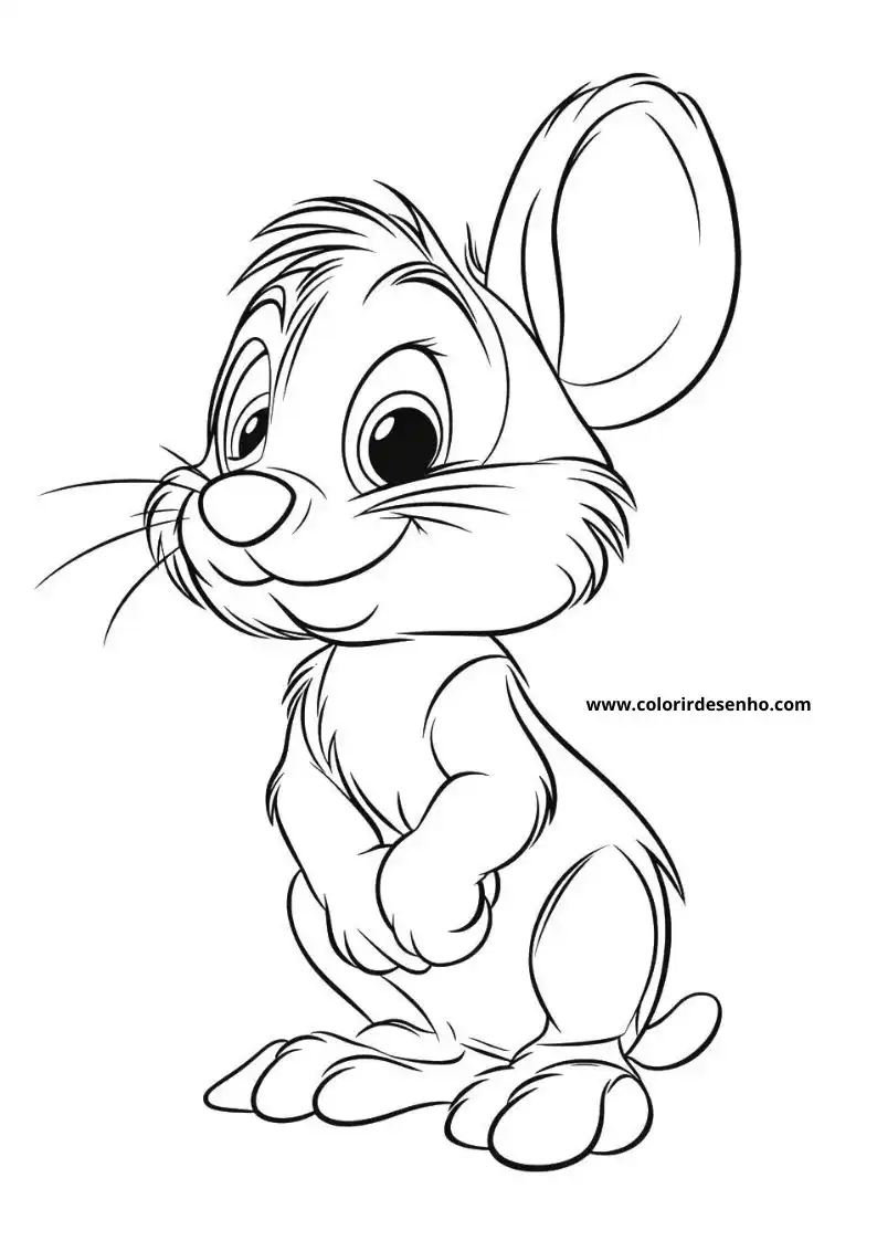 Beautiful Mouse Coloring Pages 6