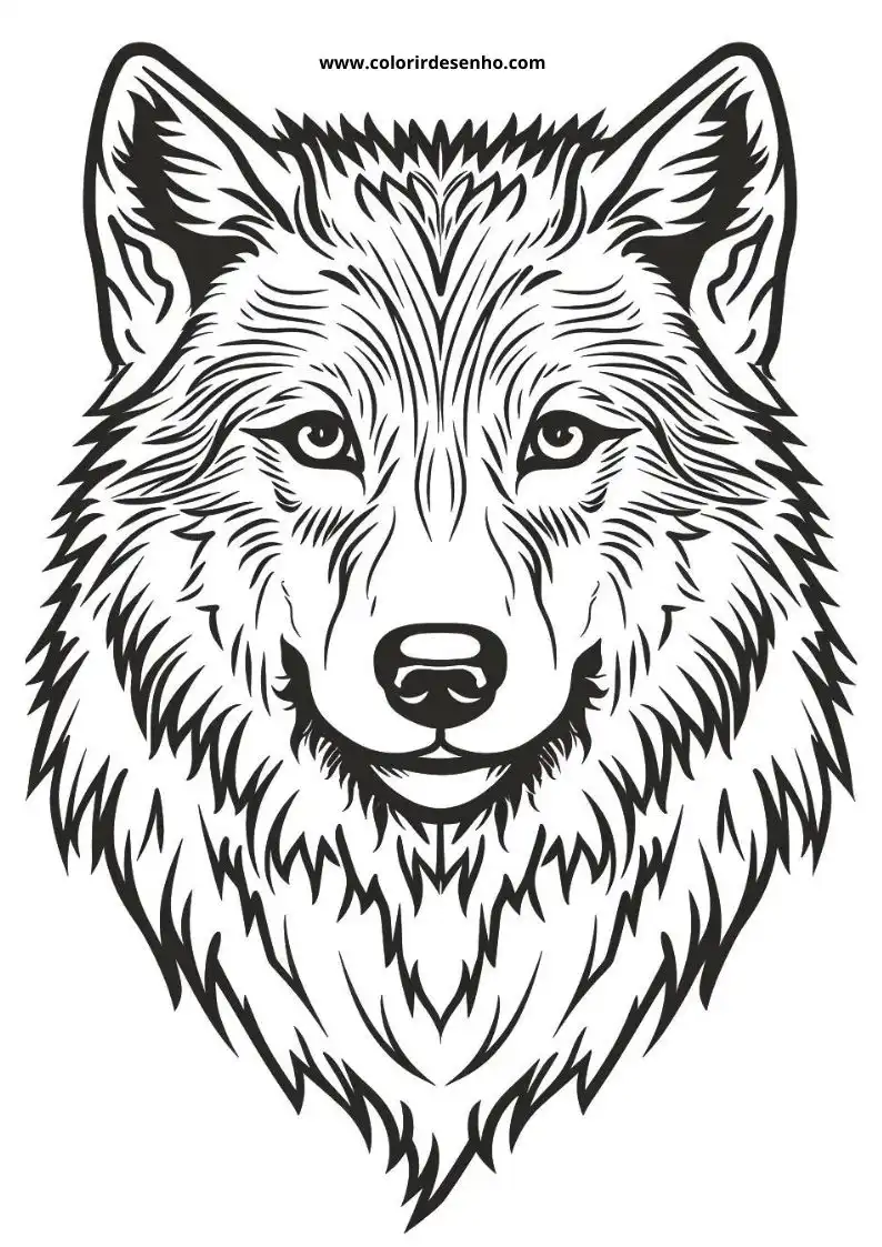 Beautiful Wolf Coloring Pages 1