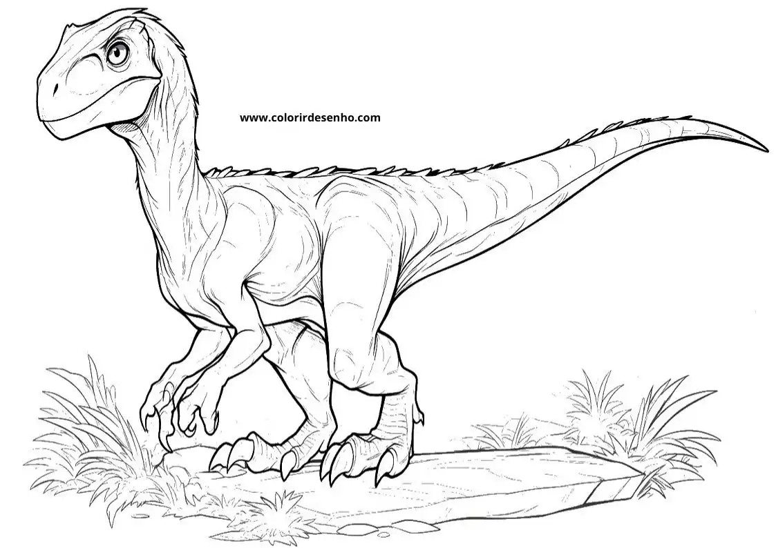 Dinosaur Coloring Pages For Kids And Adults 7