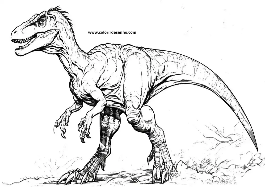 Dinosaur Coloring Pages For Kids And Adults 9