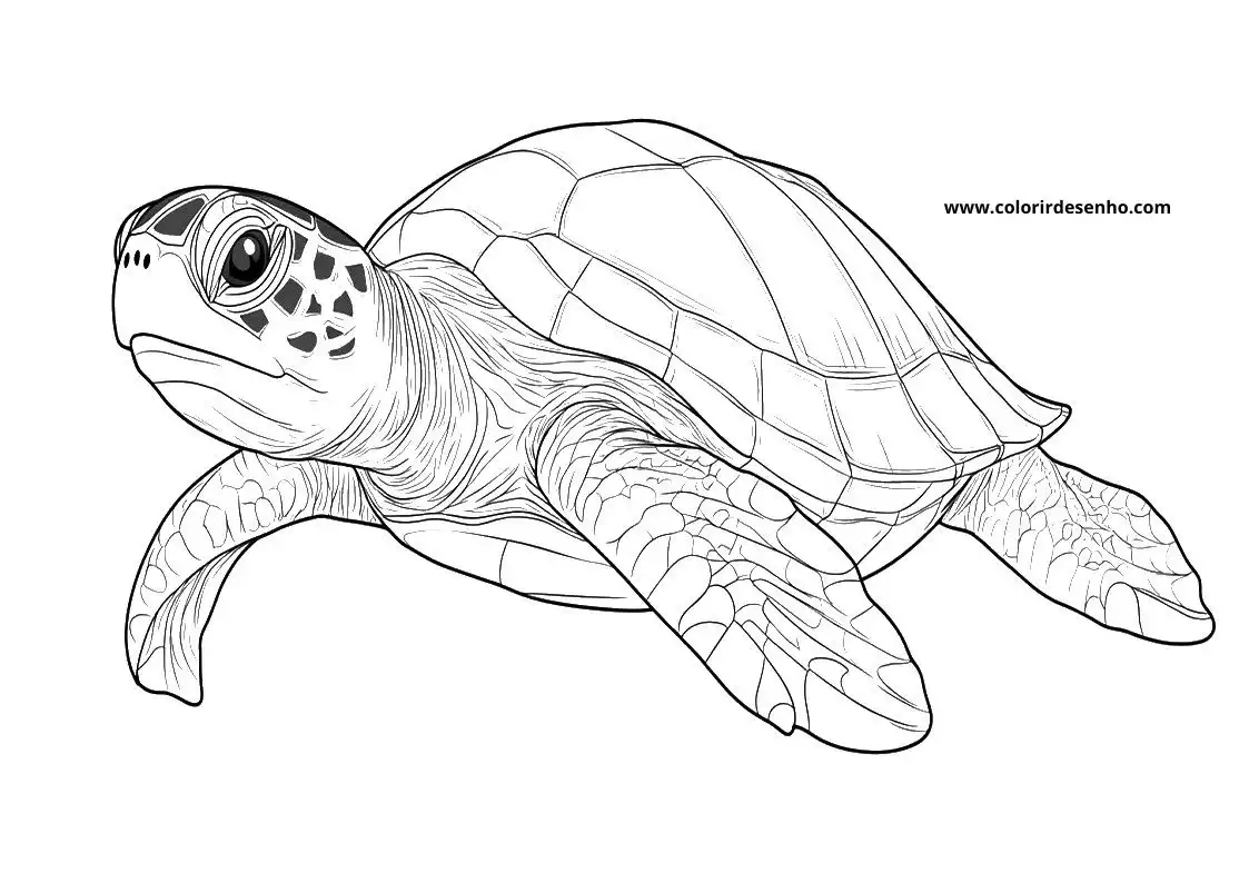 Download Free Printable Turtle Coloring Pages For Kids And Adults 2