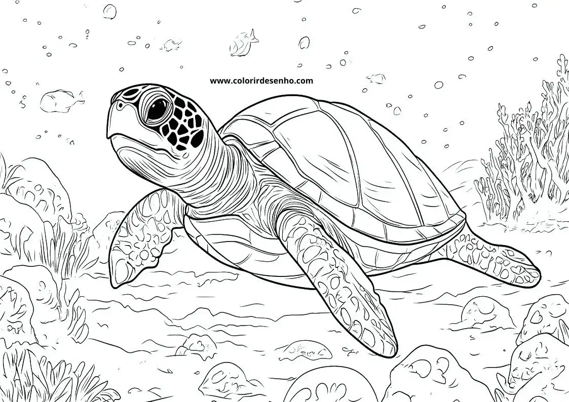 Download Turtle Coloring Pages 4