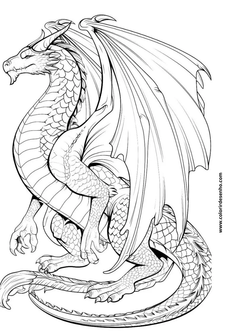 Dragon Picture Coloring Pages 3