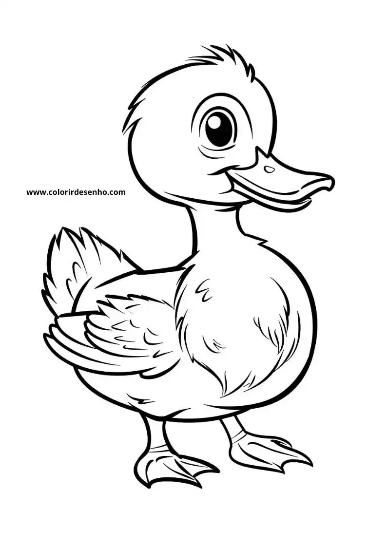 Duck Coloring Sheet 4