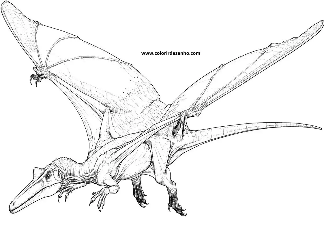 Educational Dinosaur Coloring Pages 10