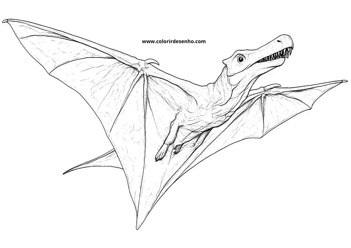 Educational Dinosaur Coloring Pages 4