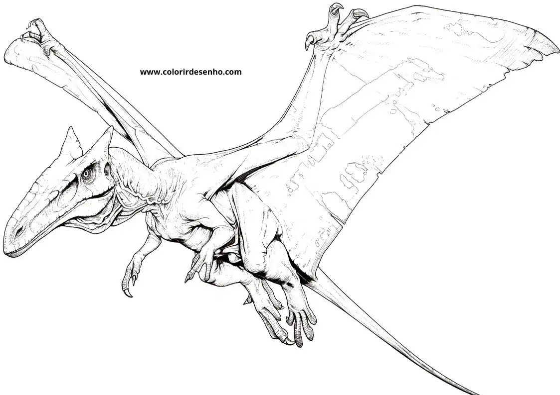 Educational Dinosaur Coloring Pages 9