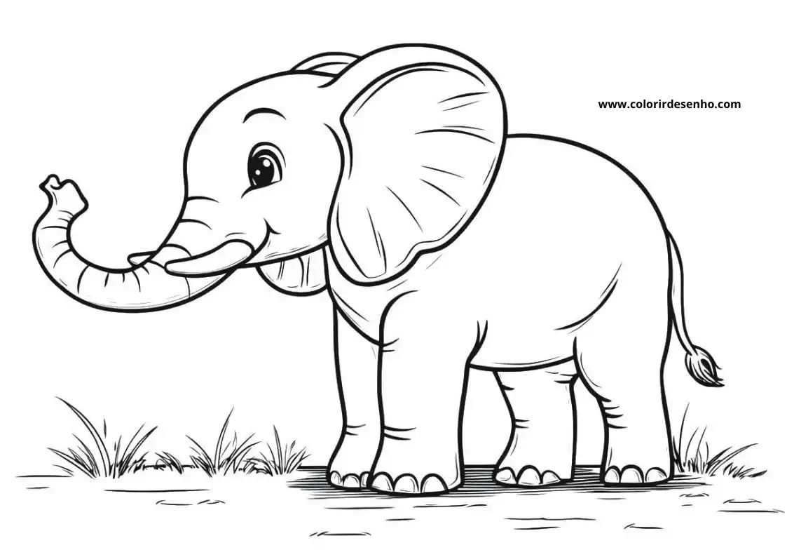 Elephant Coloring Pages 9