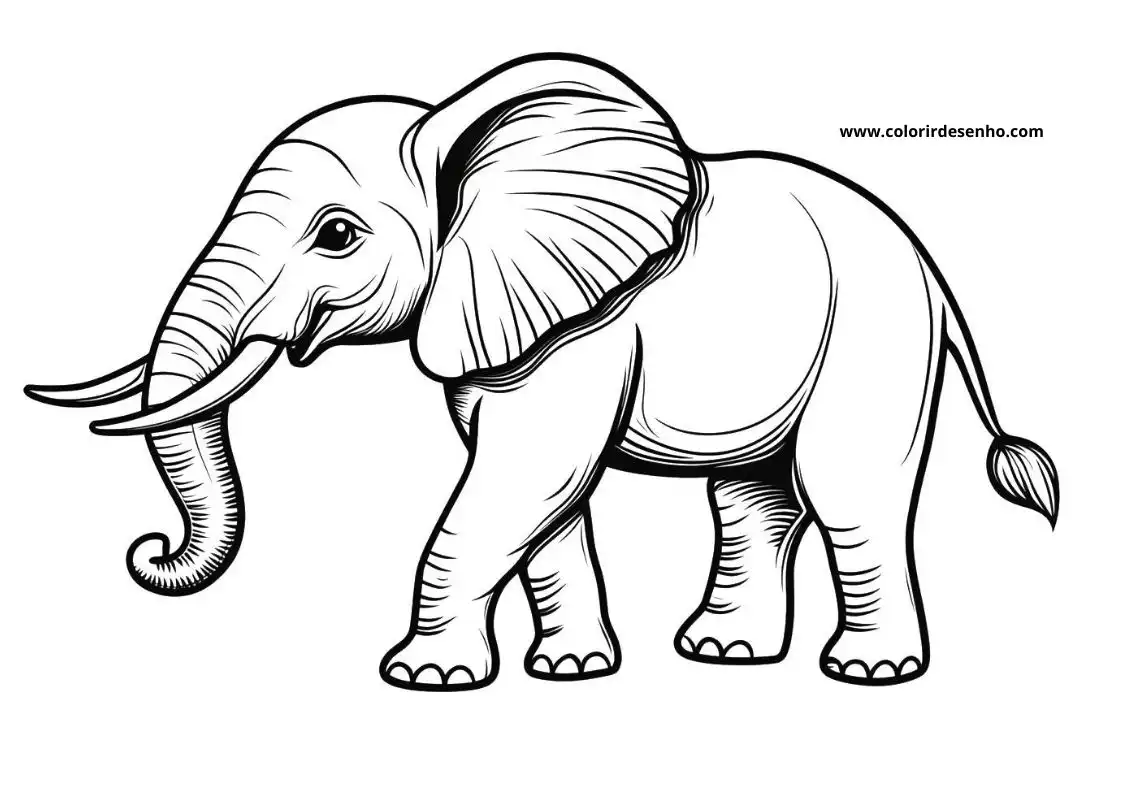 Elephant Picture Coloring Pages 1