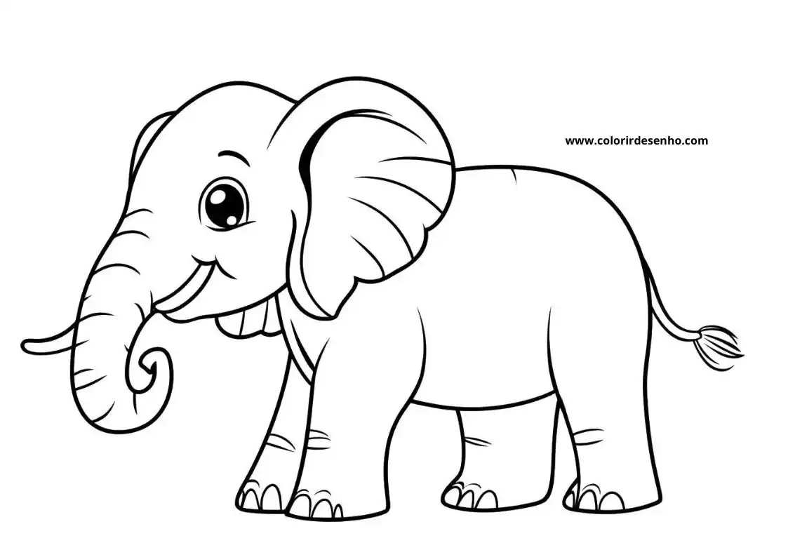Elephant Picture Coloring Pages 3