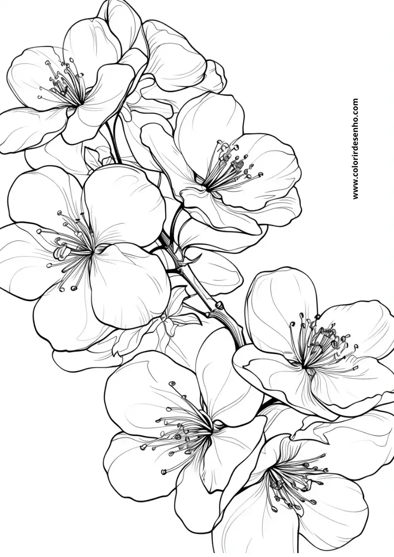 Flower Coloring Pages For Kids And Adults 8