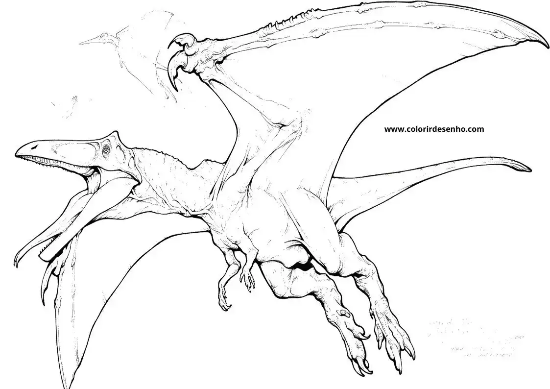 Free Dinosaur Coloring Pages Download 2