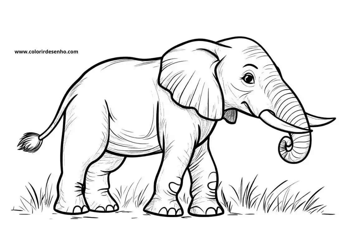 Free Elephant Coloring Pages Download 4