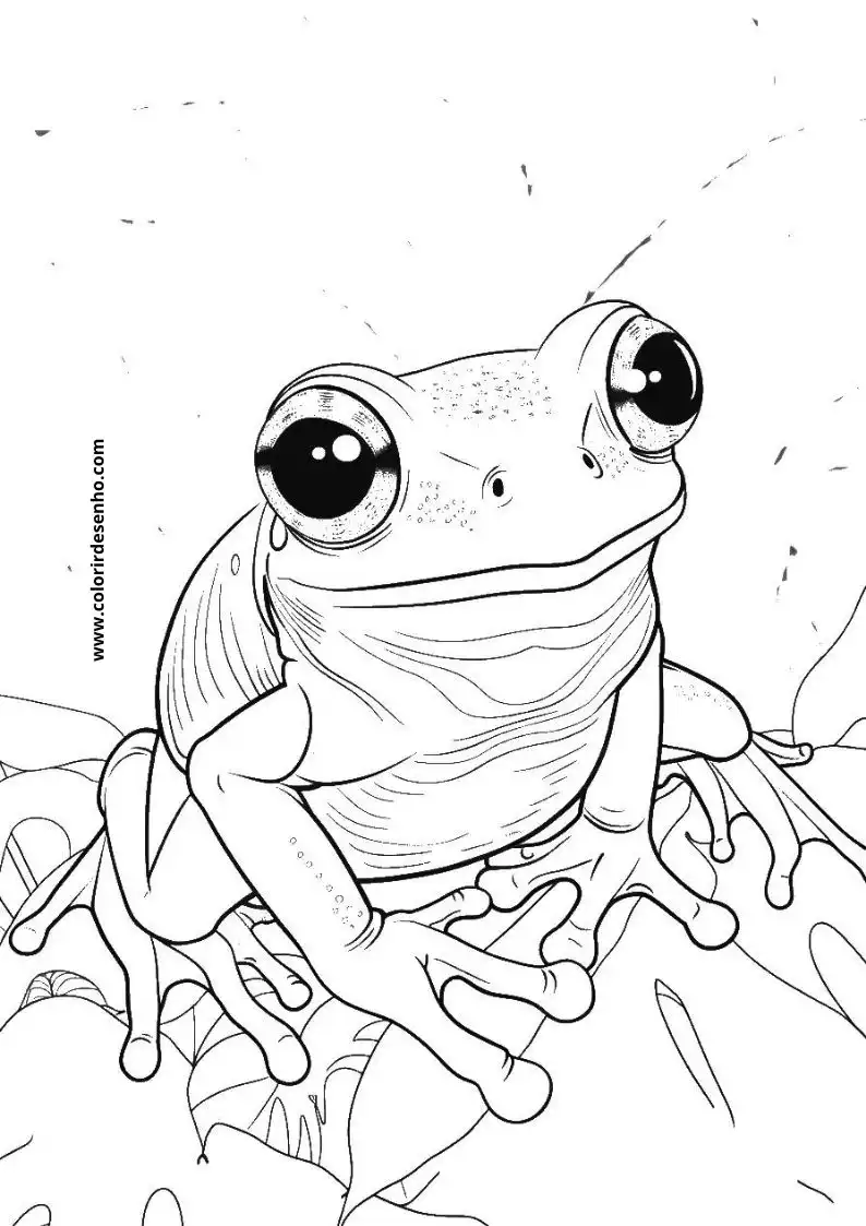 Free Frog Coloring Pages Download 5