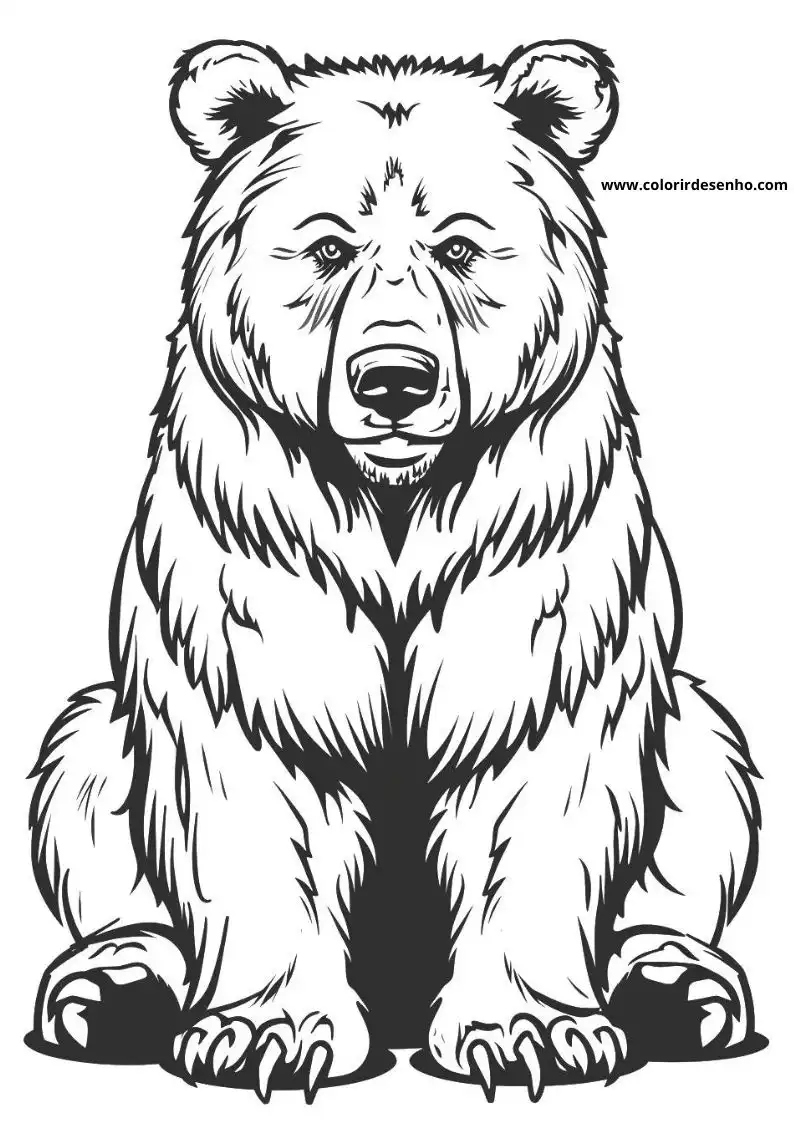 Free Printable Bear Coloring Sheets 4