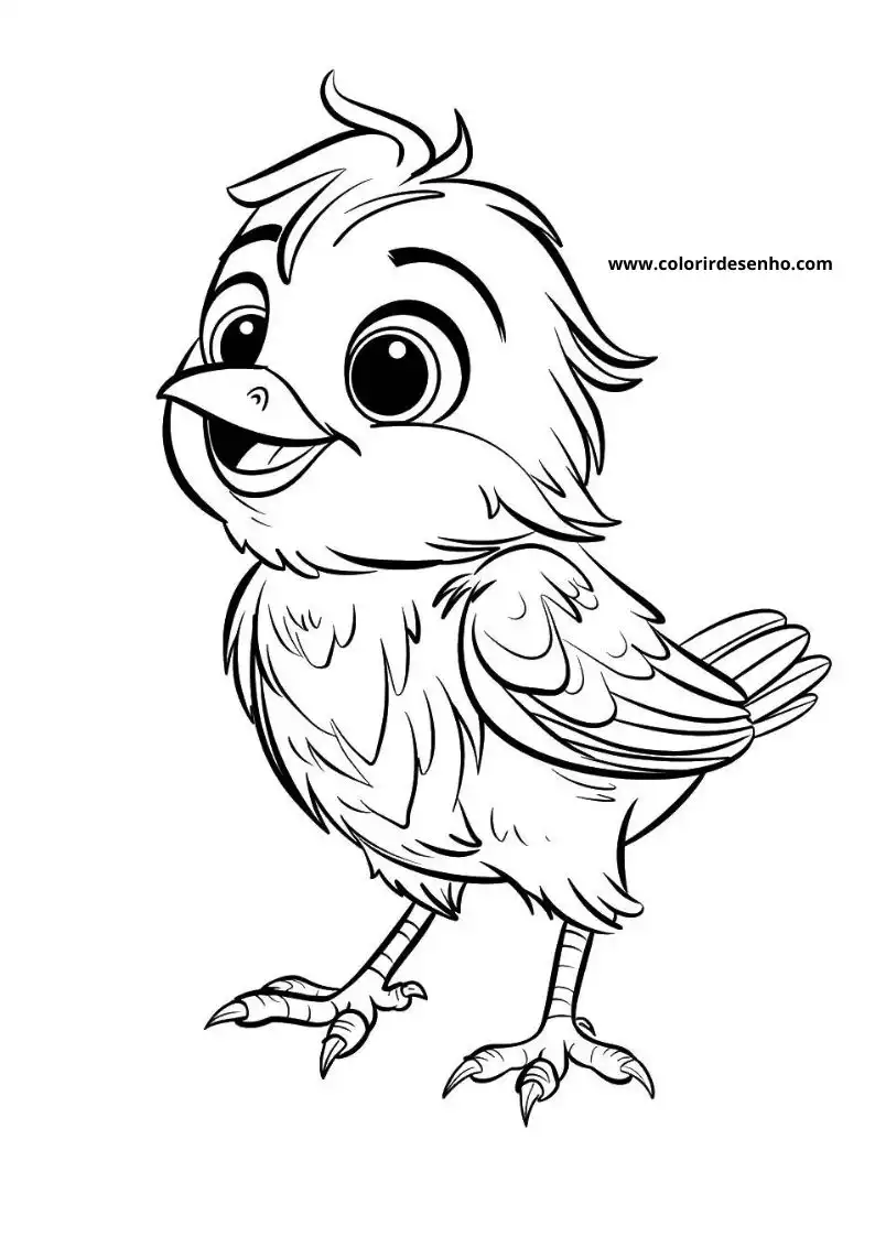 Free Printable Bird Coloring Pages in PDF 1