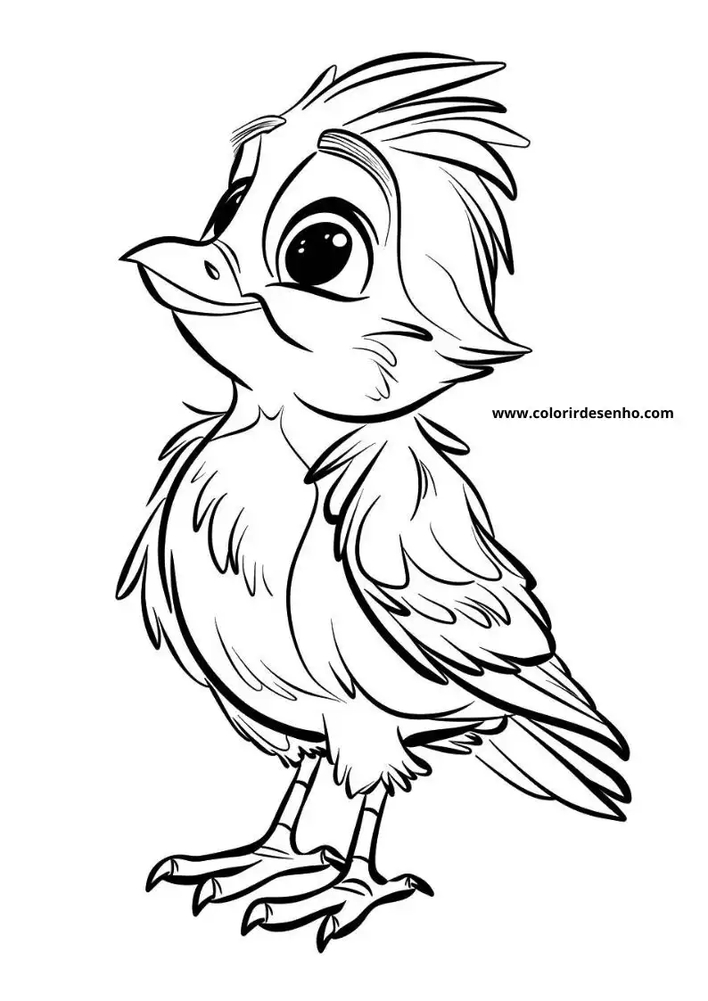 Free Printable Bird Coloring Pages in PDF 17