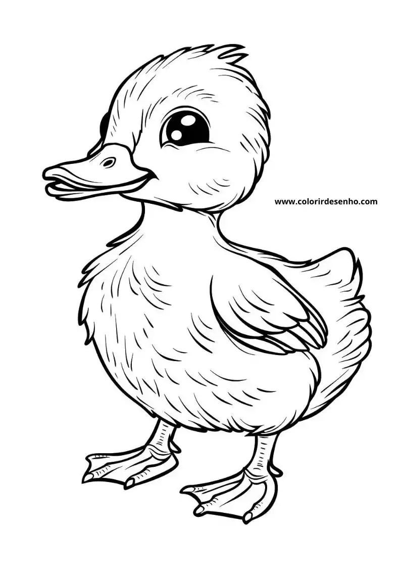Free Printable Duck Coloring Pages in PDF 5