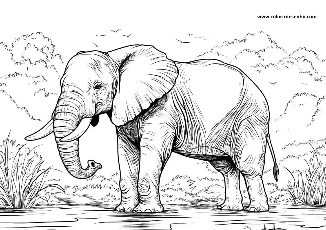 Free Printable Elephant Coloring Sheets 11