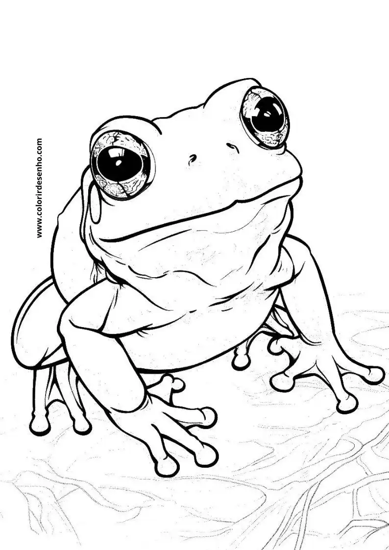 Free Printable Frog Coloring Sheets 2