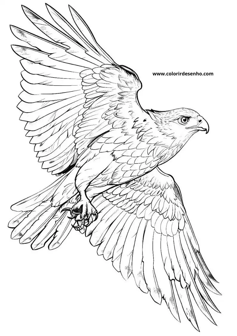 Free Printable Hawk Coloring Pages in PDF 10