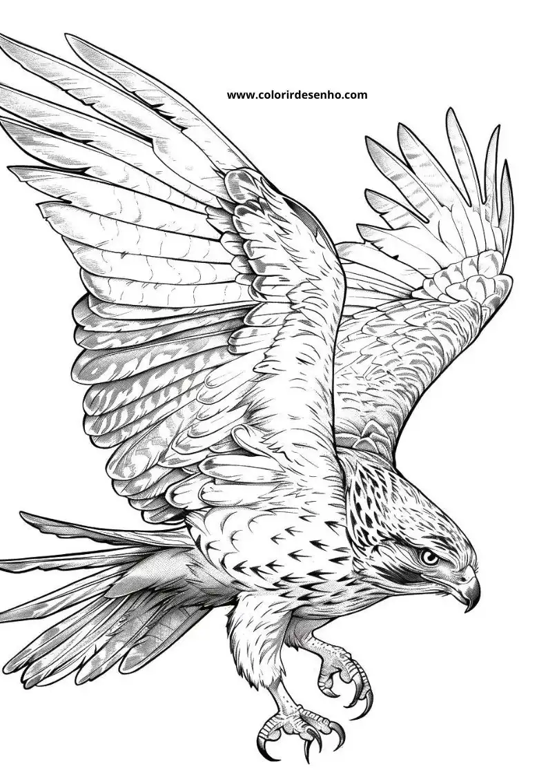 Free Printable Hawk Coloring Pages in PDF 9