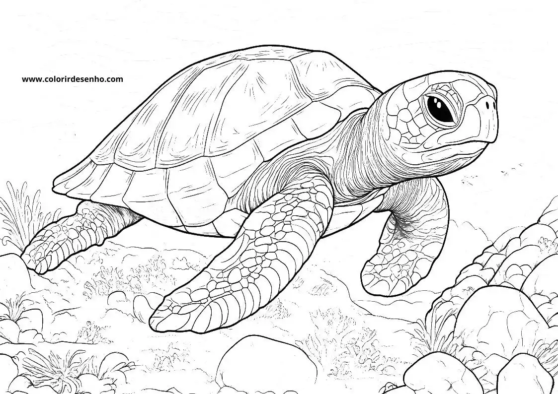Free Printable Turtle Coloring Pages in PDF 6