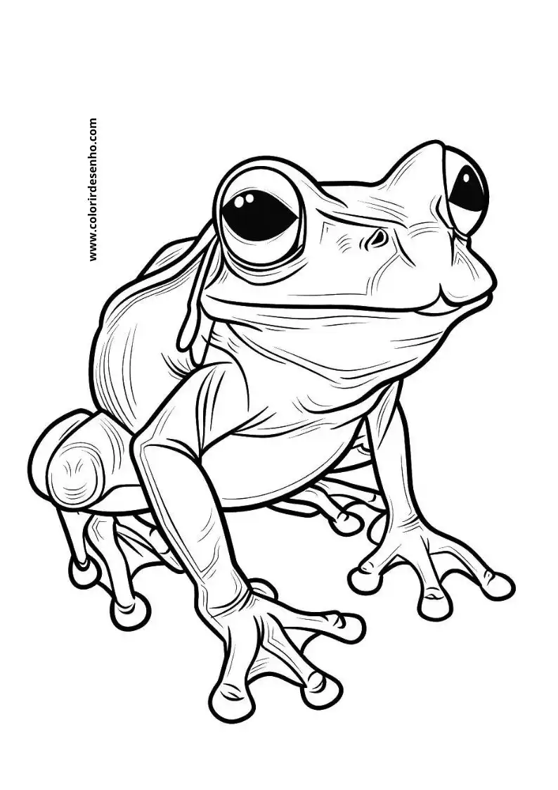 Frog Coloring Pages 14