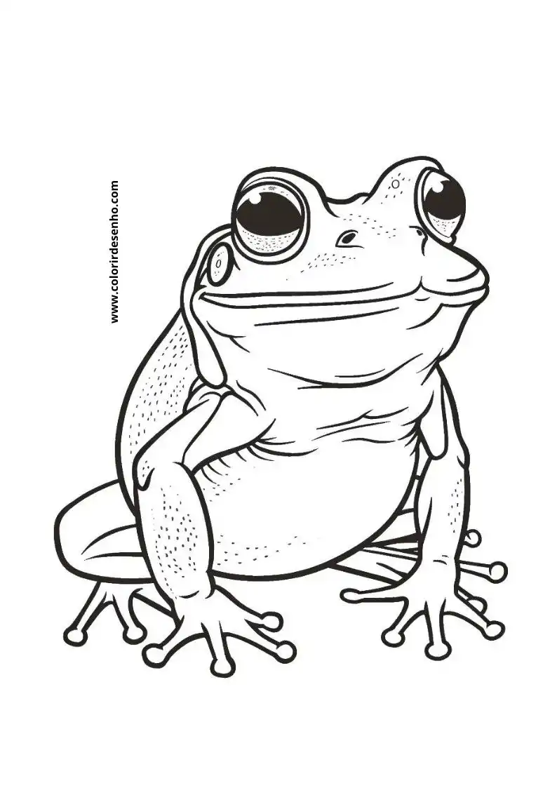 Frog Coloring Pages 5