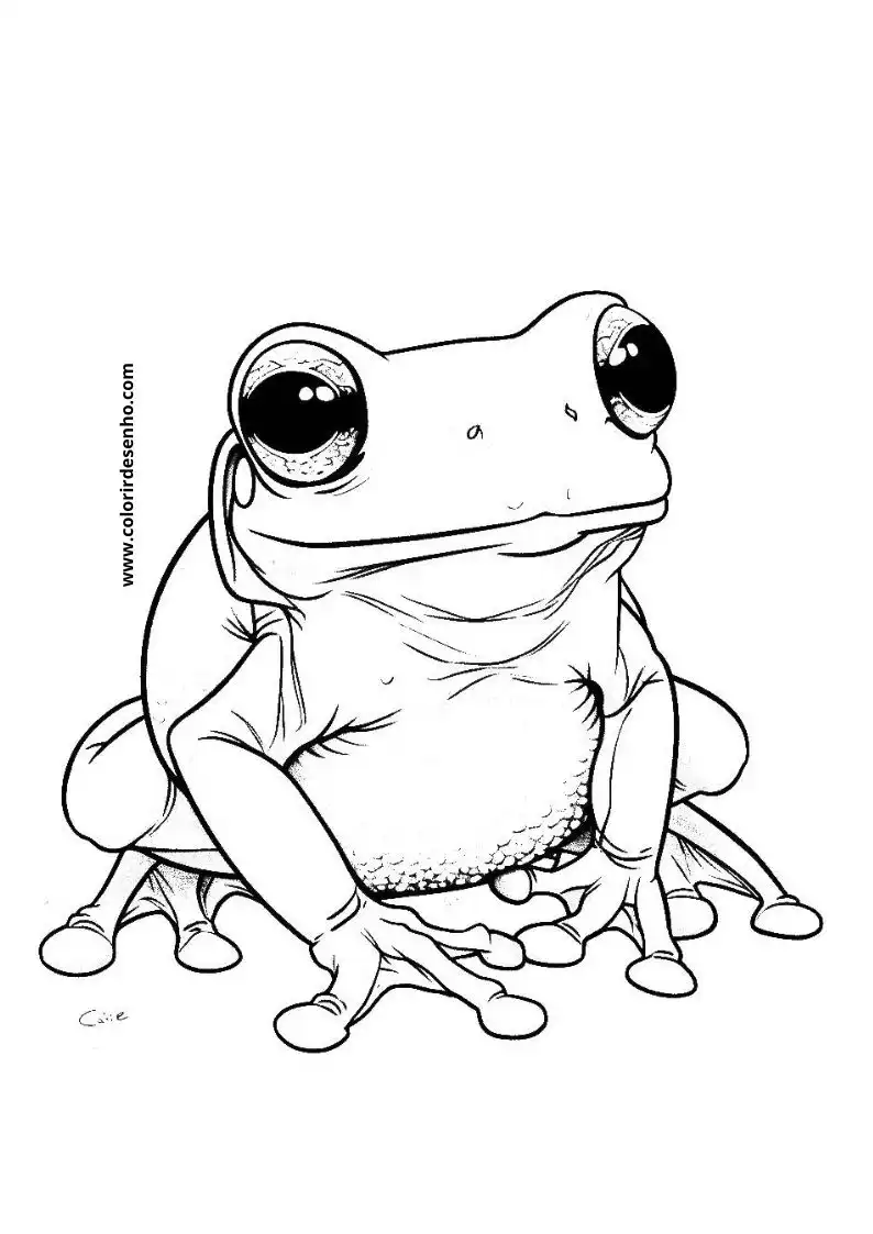 Frog Coloring Pages For Kids And Adults 12