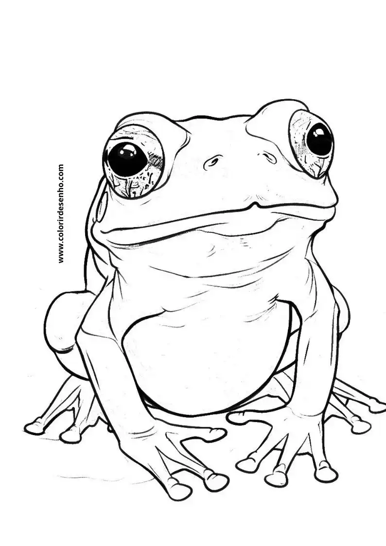 Frog Coloring Pages For Kids And Adults 6