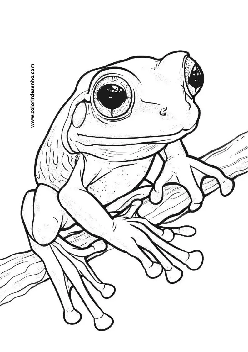Frog Coloring Sheet 10