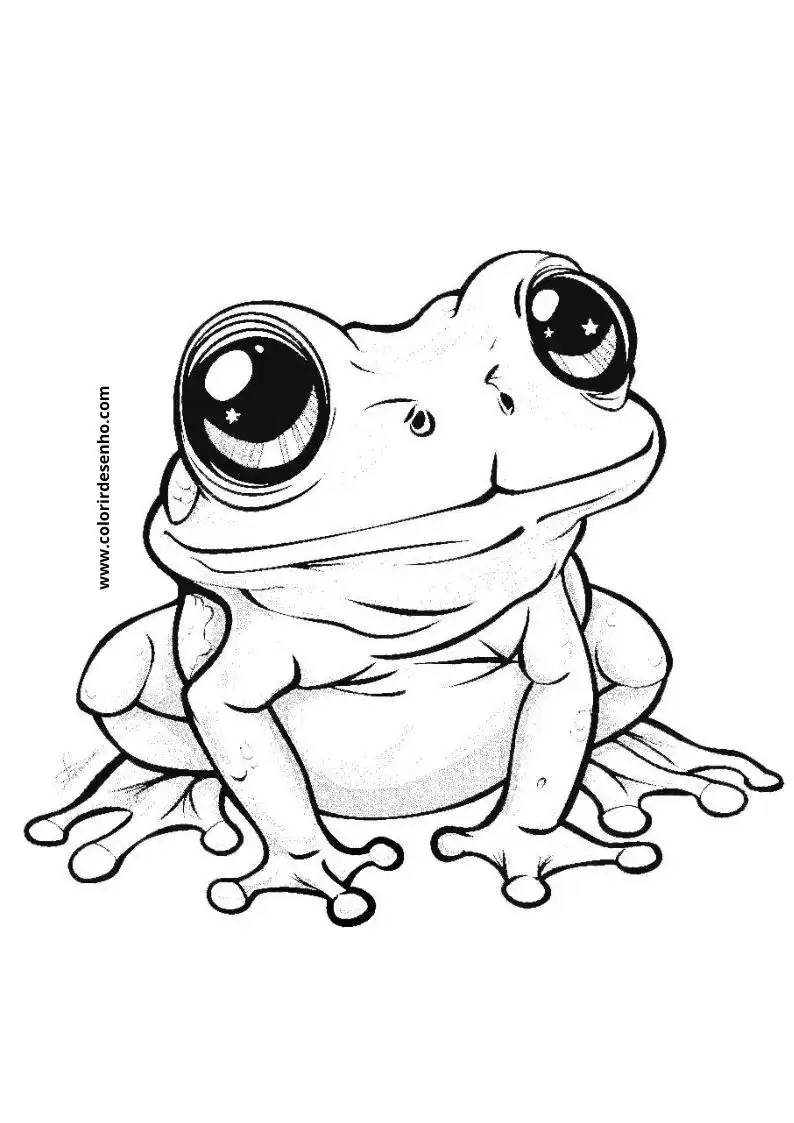 Frog Coloring Sheet 11