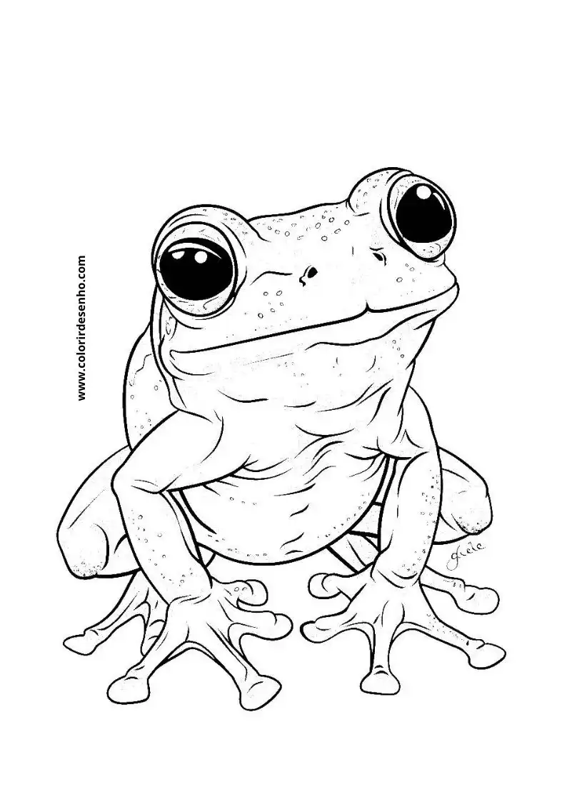 Frog Free Printable Coloring Pages 5