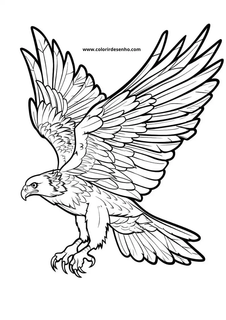 Hawk Free Printable Coloring Pages 7