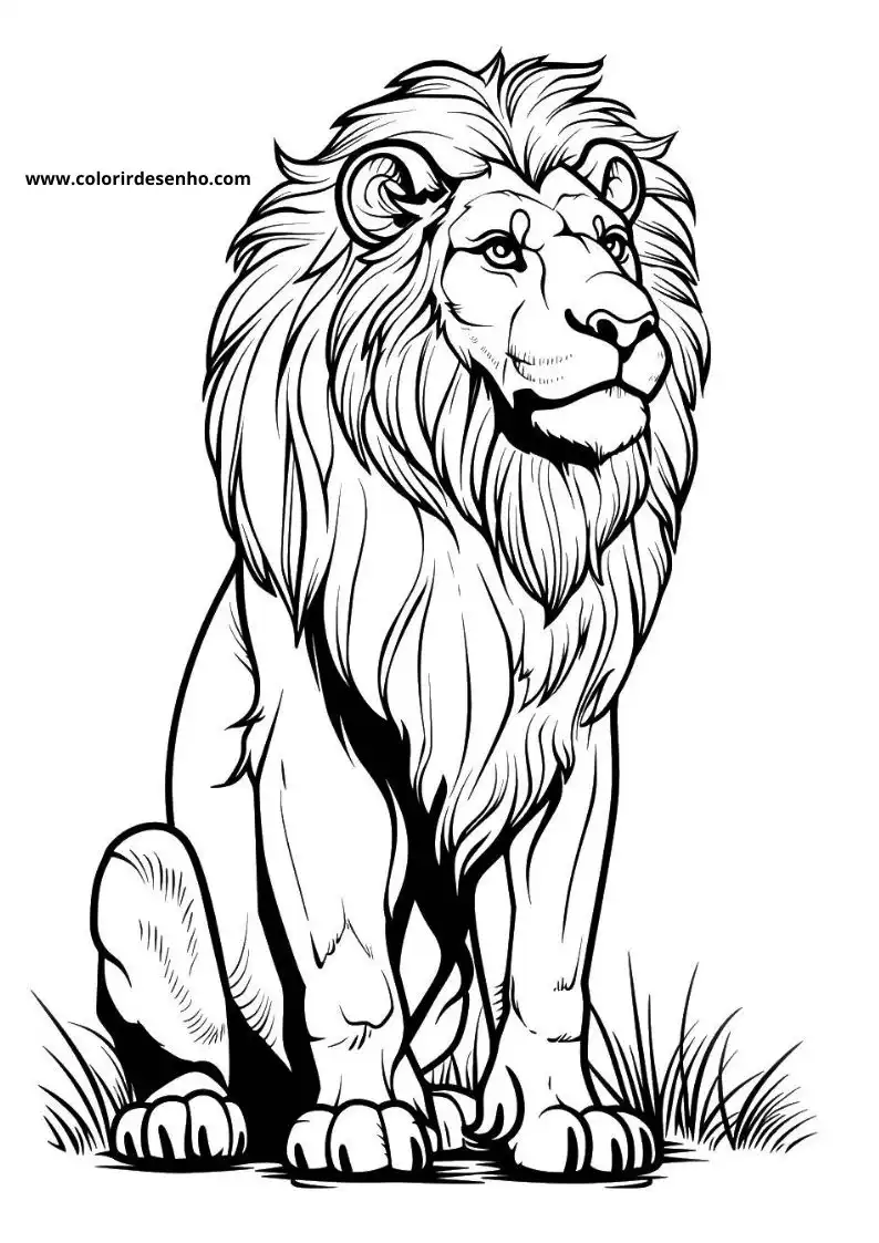 Lion Coloring Page Outline 1