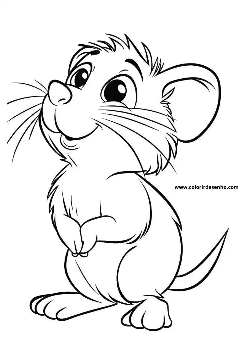 Mouse Coloring Page Outline 5