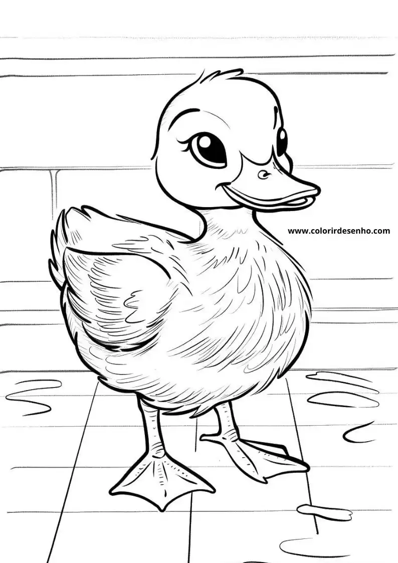 Printable Duck Coloring Pages 10
