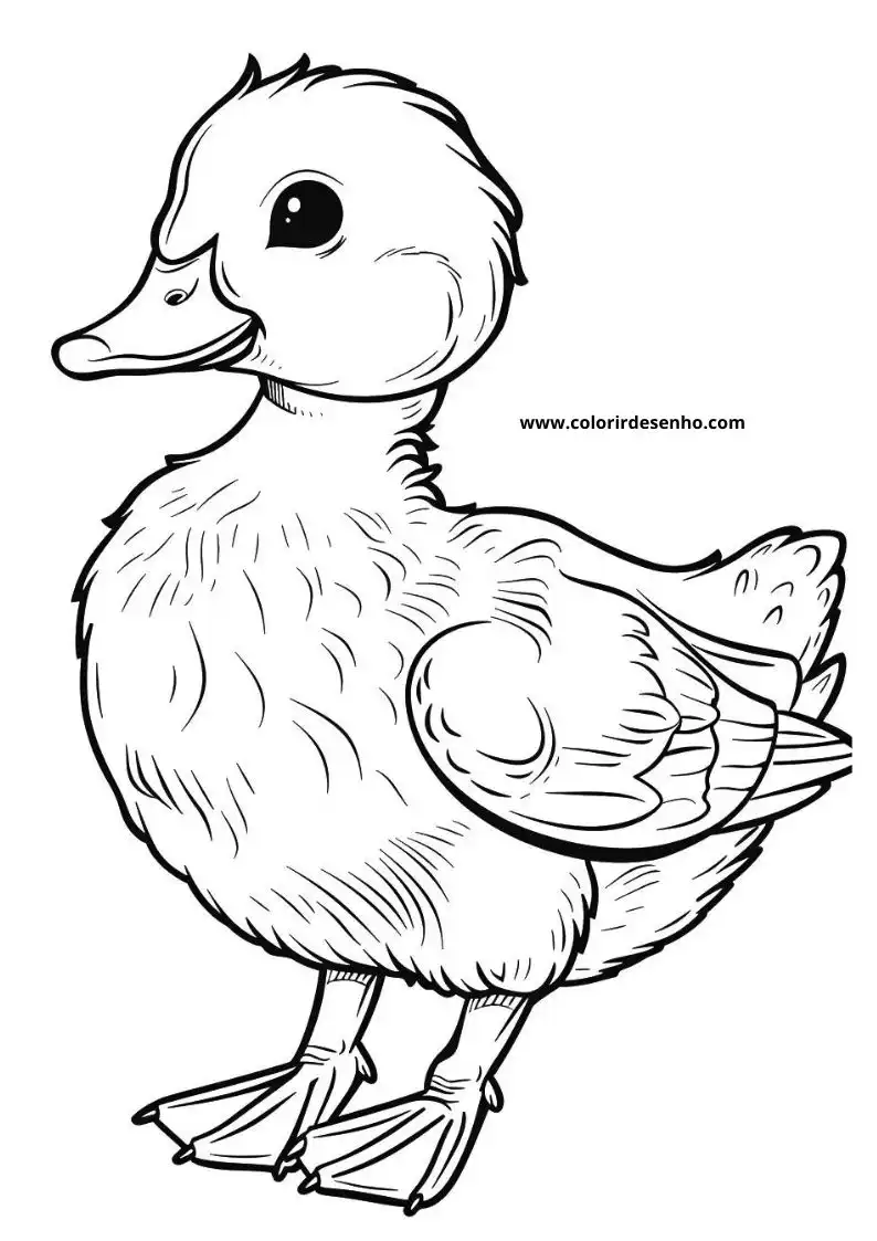 Printable Duck Coloring Pages 9