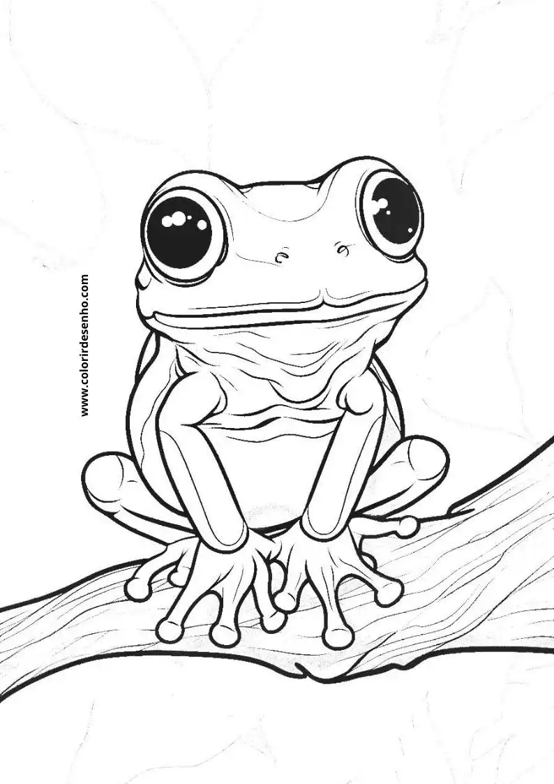 Printable Frog Coloring Pages 13
